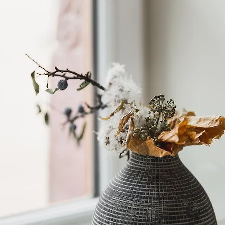 Daire Hissla Le Schlupf & La Perle Riquewihr